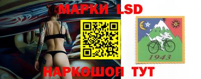 шишки Лесосибирск