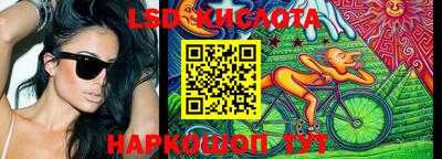 шишки Лесосибирск