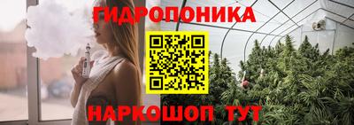 шишки Лесосибирск